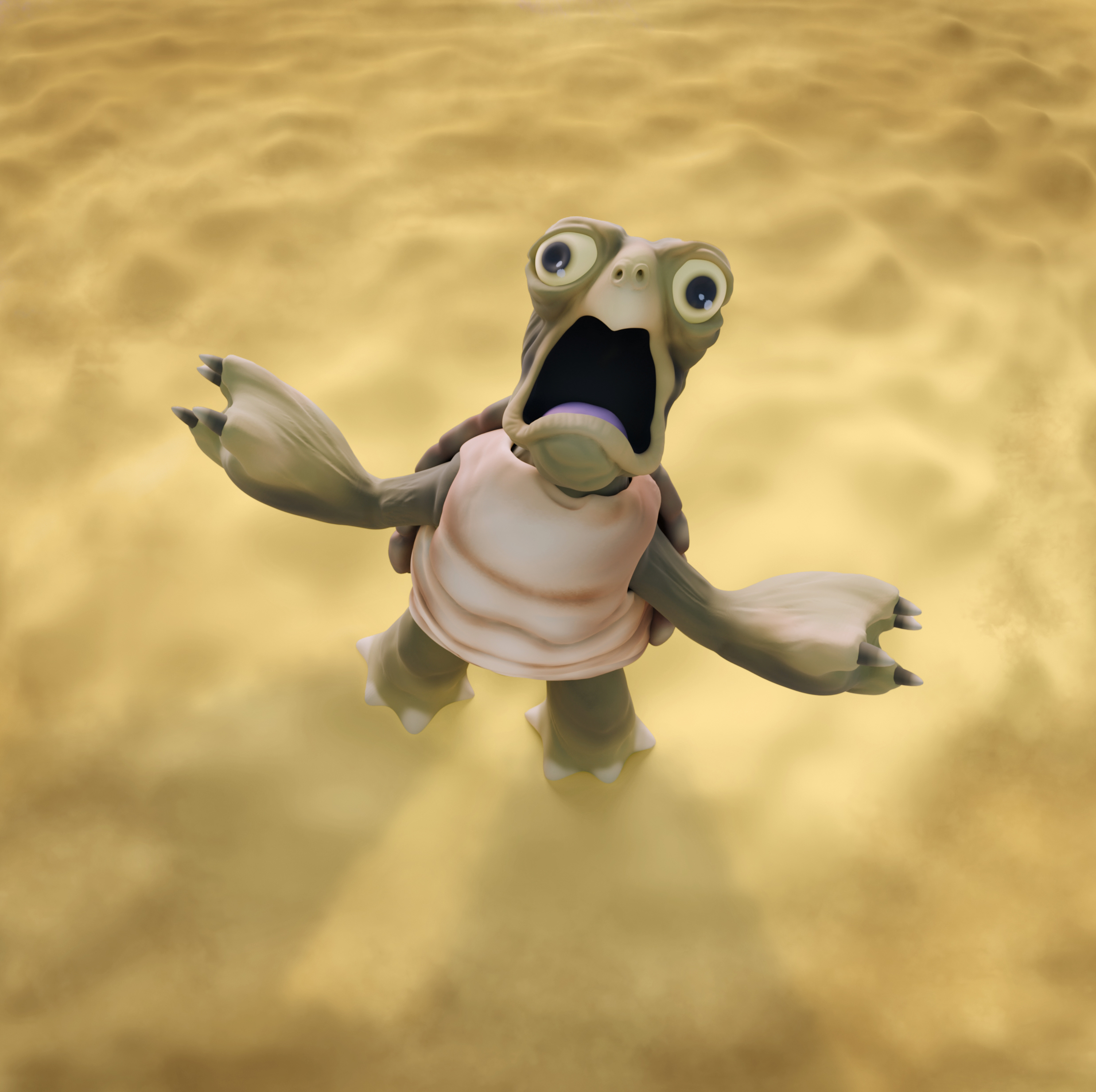 Tortue-CYCLES_002+modifs